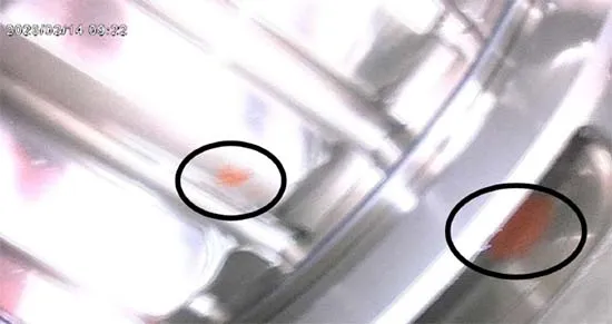 Figure 7. Reddish corrosion staining on the bearing rolling elements.