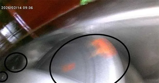 Figure 8. Further corrosion marks across the rolling elements and races.