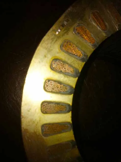 Cutaway of a winding showing conductors in the slots, slot liners, and top sticks, and an encapsulation varnish.