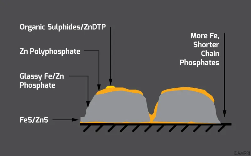 Structure and composition of a ZDDP glass film (taken from Mortier, Fox, & Orszulik, 2010)