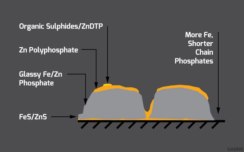Structure and composition of a ZDDP glass film (taken from Mortier, Fox, & Orszulik, 2010)